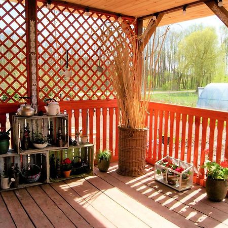 Losiowate Gospodarstwo Agroturystyczne Rybaki  Esterno foto