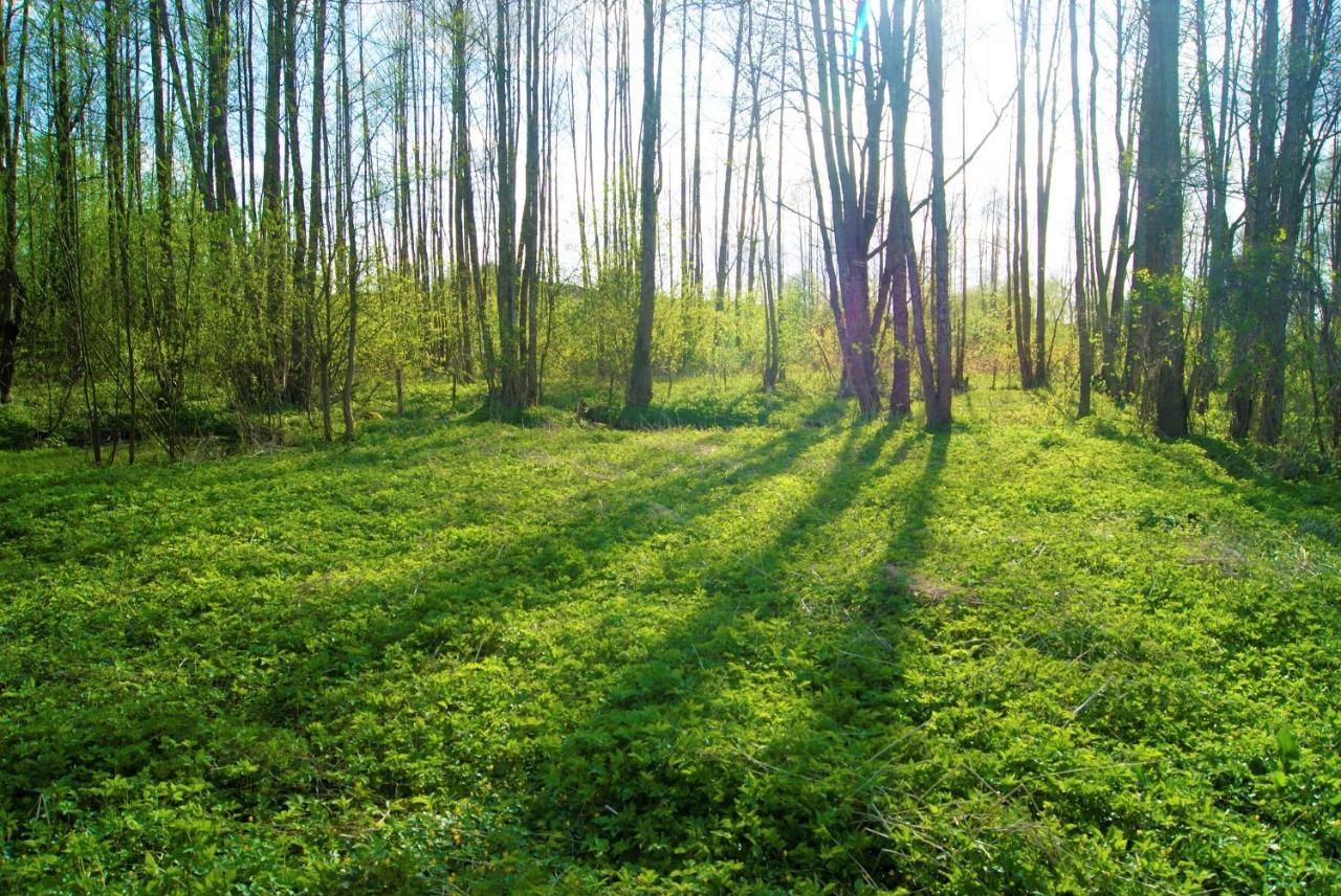 Losiowate Gospodarstwo Agroturystyczne Rybaki  Esterno foto