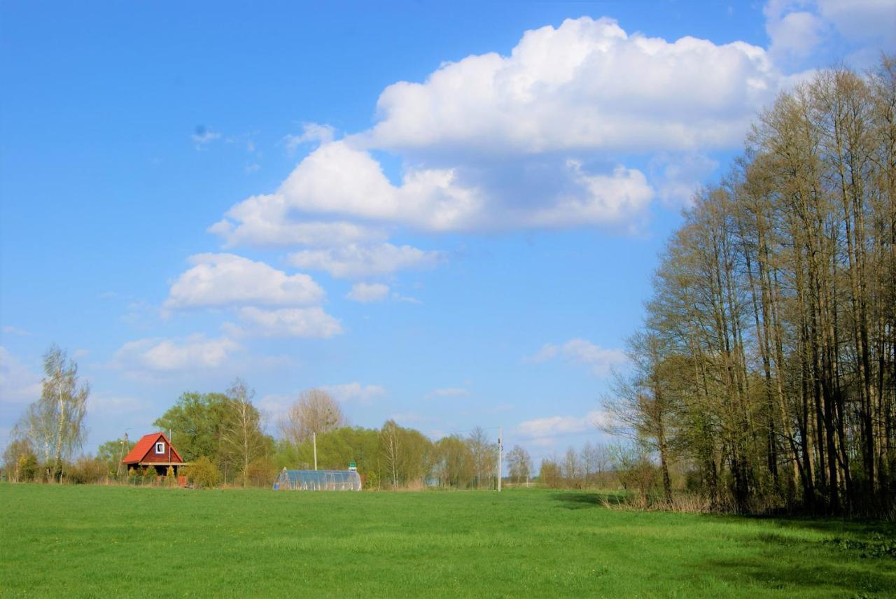 Losiowate Gospodarstwo Agroturystyczne Rybaki  Esterno foto