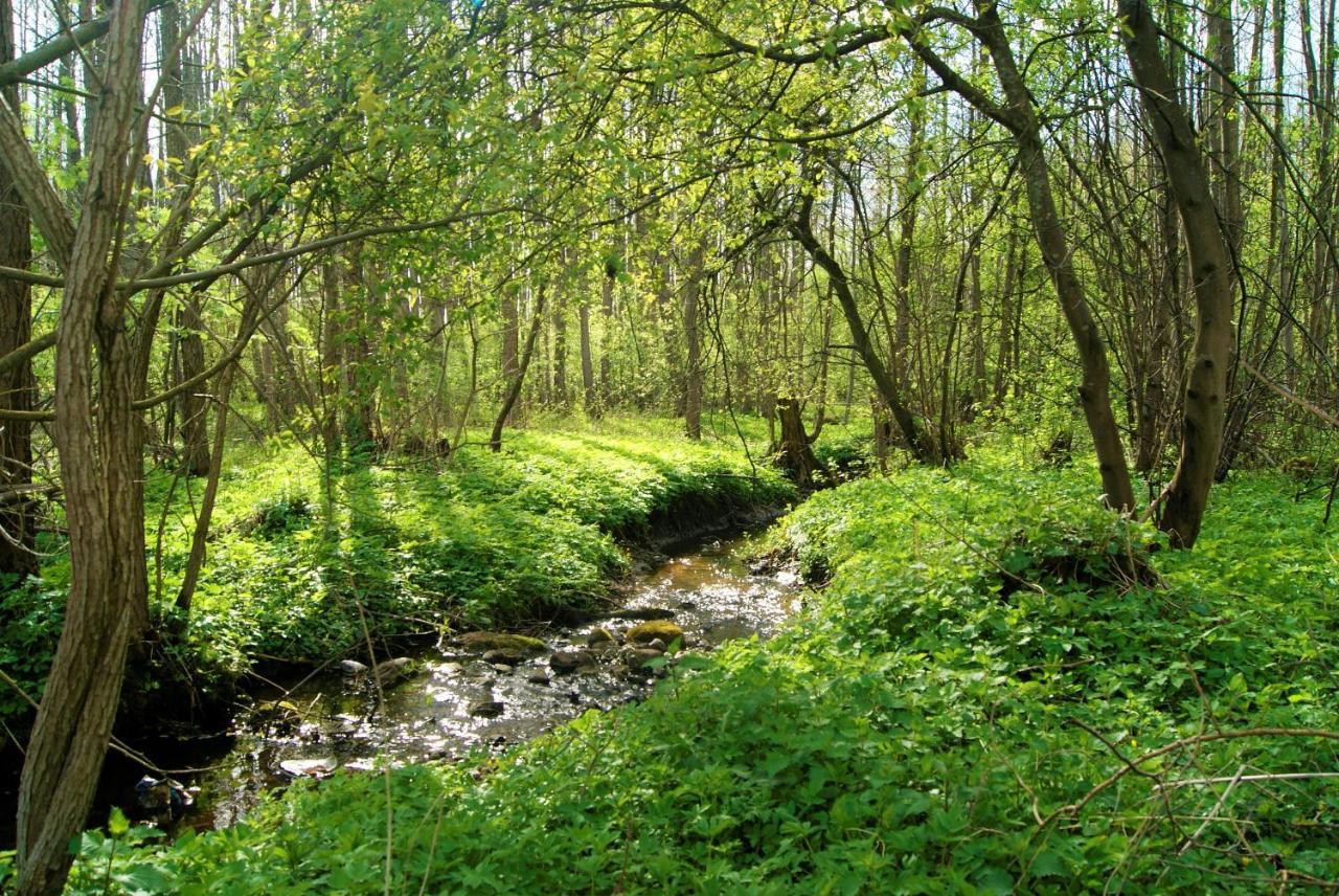 Losiowate Gospodarstwo Agroturystyczne Rybaki  Esterno foto